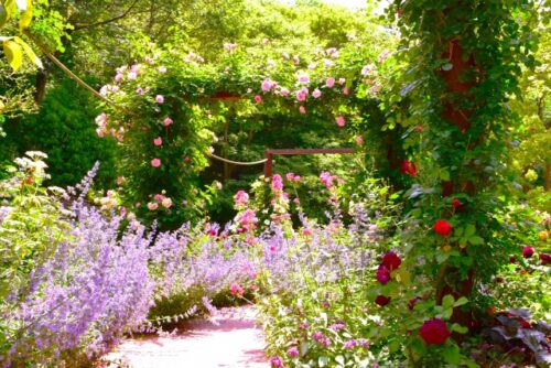 洋風の庭園や庭、植物園などを表すのに